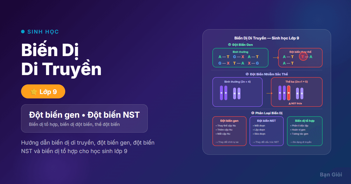 Biến Dị Di Truyền - Hướng dẫn biến dị di truyền, đột biến gen, đột biến NST và biến dị tổ hợp cho họ