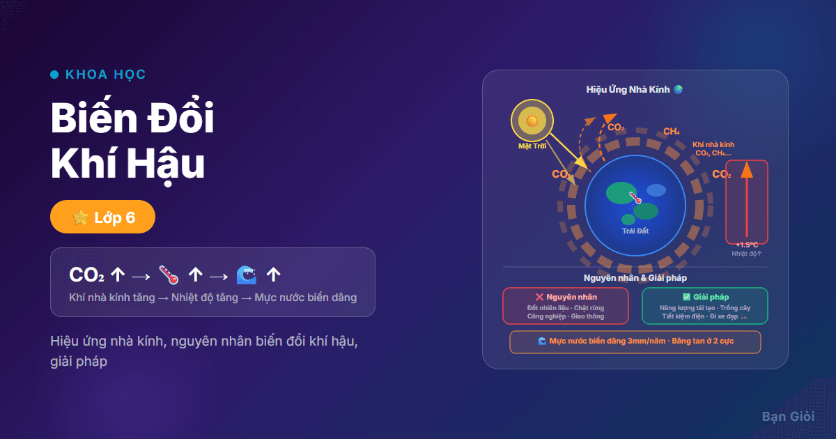 Biến Đổi Khí Hậu - Hướng dẫn từng bước hiệu ứng nhà kính, nguyên nhân biến đổi khí hậu (CO₂, phá rừ