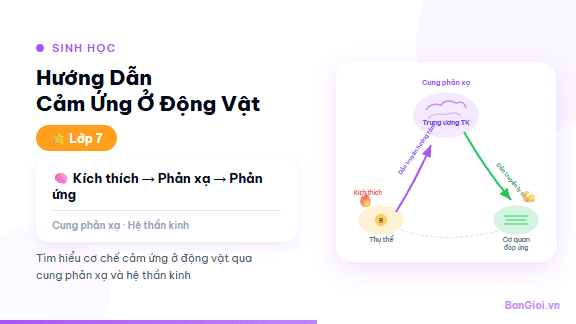 Cảm Ứng Động Vật - Hướng dẫn về cảm ứng ở động vật: phản xạ, hệ thần kinh, cơ quan cảm giác cho học