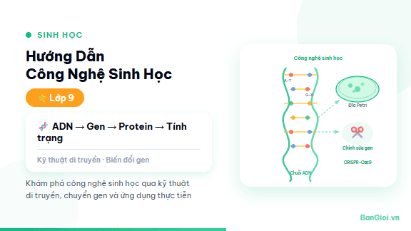 Công Nghệ Sinh Học - Hướng dẫn công nghệ sinh học: kỹ thuật gene, nhân bản vô tính, sinh vật biến đổi