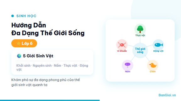 Đa Dạng Thế Giới Sống - Hướng dẫn đa dạng thế giới sống: 5 giới sinh vật, đặc điểm từng giới, đại diện t