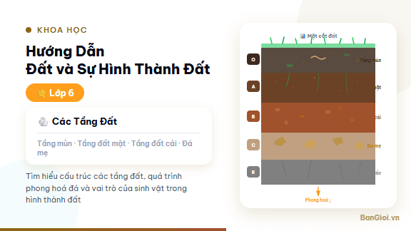 Đất và Sự Hình Thành Đất - Hướng dẫn về đất: thành phần, cách hình thành, phân loại và tầm quan trọng của đ