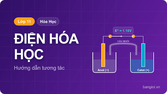 Điện Hóa Học - Hướng dẫn từng bước phân tích pin điện hóa, thế điện cực chuẩn và phương trình N