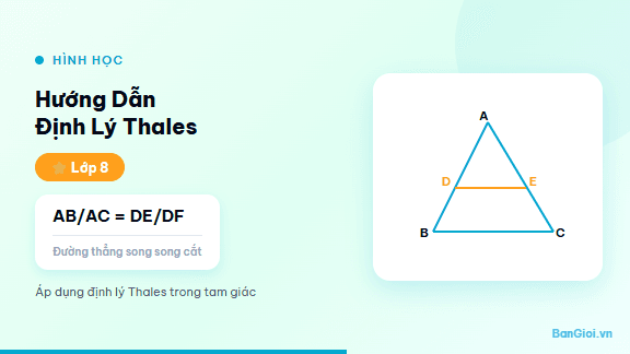 Hướng Dẫn Định Lý Thales - Hướng dẫn từng bước áp dụng định lý Thales trong tam giác cho học sinh lớp 8. Tí