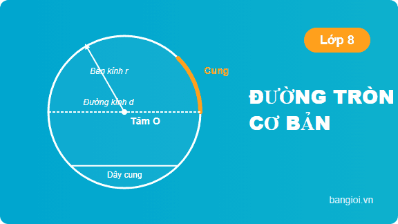 Đường Tròn Cơ Bản Lớp 8 - Ứng dụng hướng dẫn toán học cho học sinh
