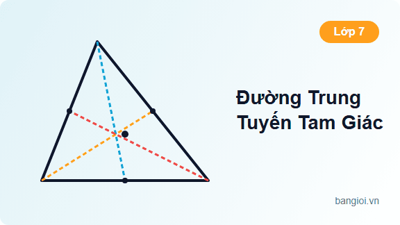 Đường Trung Tuyến Tam Giác - Ứng dụng hướng dẫn toán học cho học sinh