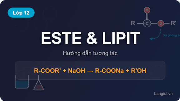 Este và Lipit - Hướng dẫn từng bước phân tích este, lipit và phản ứng xà phòng hóa cho học sinh 