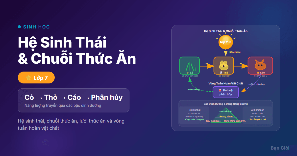 Hệ Sinh Thái và Chuỗi Thức Ăn - Hướng dẫn hệ sinh thái, chuỗi thức ăn và lưới thức ăn cho học sinh lớp 7 KHTN.