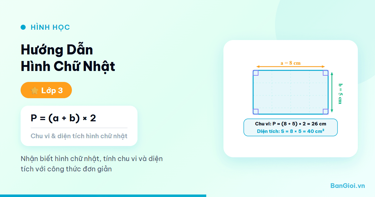 Hình Chữ Nhật - Hướng dẫn từng bước tính chất, chứng minh và tính diện tích, chu vi hình chữ nhậ