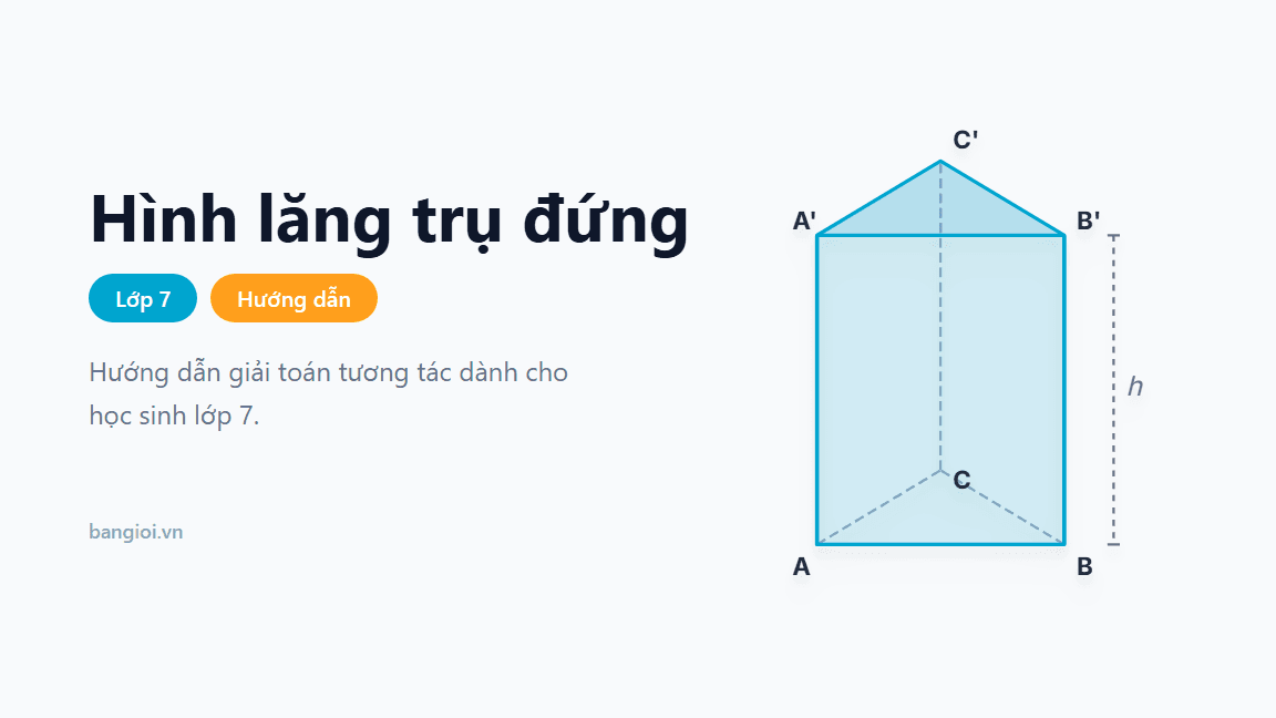Hướng Dẫn Hình Lăng Trụ Đứng - Hướng dẫn từng bước nhận biết, tính diện tích xung quanh và thể tích hình lăng t