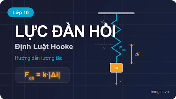 Hướng Dẫn Lực Đàn Hồi & Định Luật Hooke - Hướng dẫn từng bước lực đàn hồi F = k|Δl|, giới hạn đàn hồi, chiều dài tự nhiên 