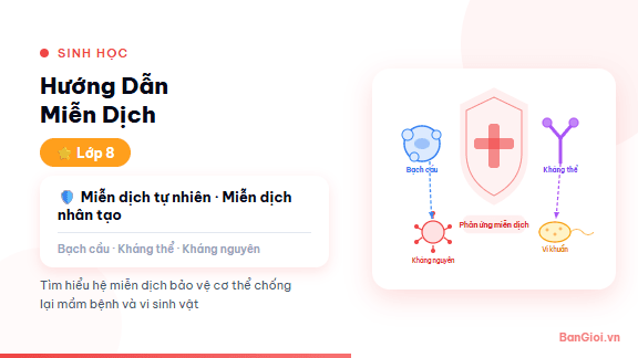 Miễn Dịch - Hướng dẫn hệ miễn dịch: kháng nguyên, kháng thể, tế bào T/B, vắc-xin cho học sin