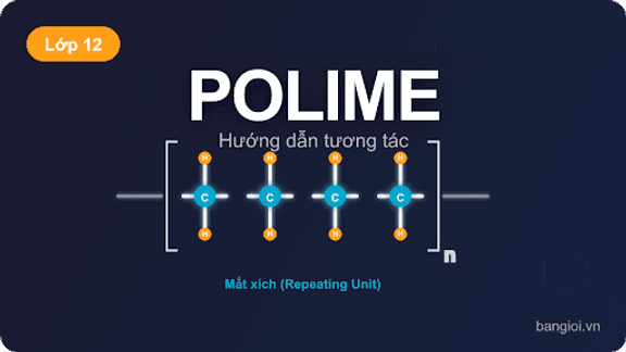 Polime (Polymer) - Hướng dẫn từng bước phân tích polime và vật liệu polime cho học sinh lớp 12. Giá