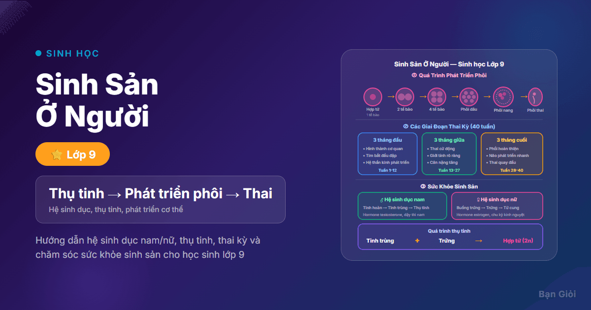 Sinh Sản Ở Người - Hướng dẫn hệ sinh dục, thụ tinh, thai kỳ và chăm sóc sức khỏe sinh sản cho học s