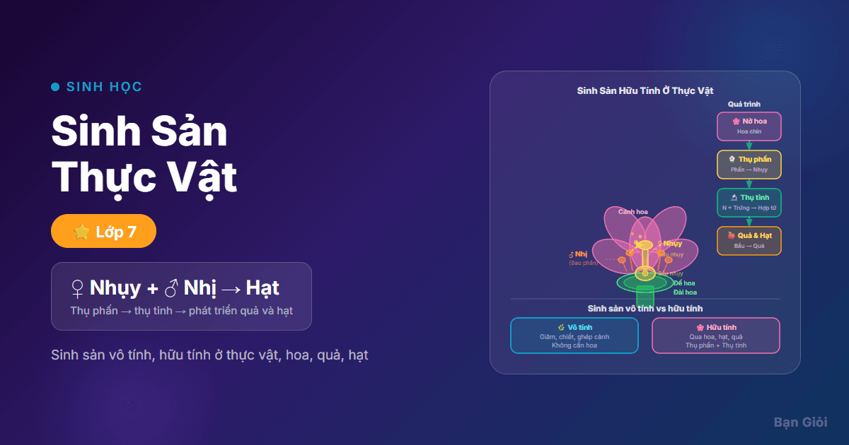 Sinh Sản Thực Vật - Hướng dẫn từng bước sinh sản vô tính và hữu tính ở thực vật, thụ phấn, thụ tinh 
