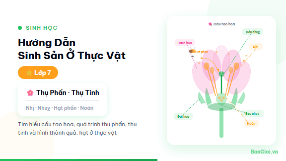 Sinh Sản ở Thực Vật - Hướng dẫn sinh sản ở thực vật cho học sinh lớp 7.