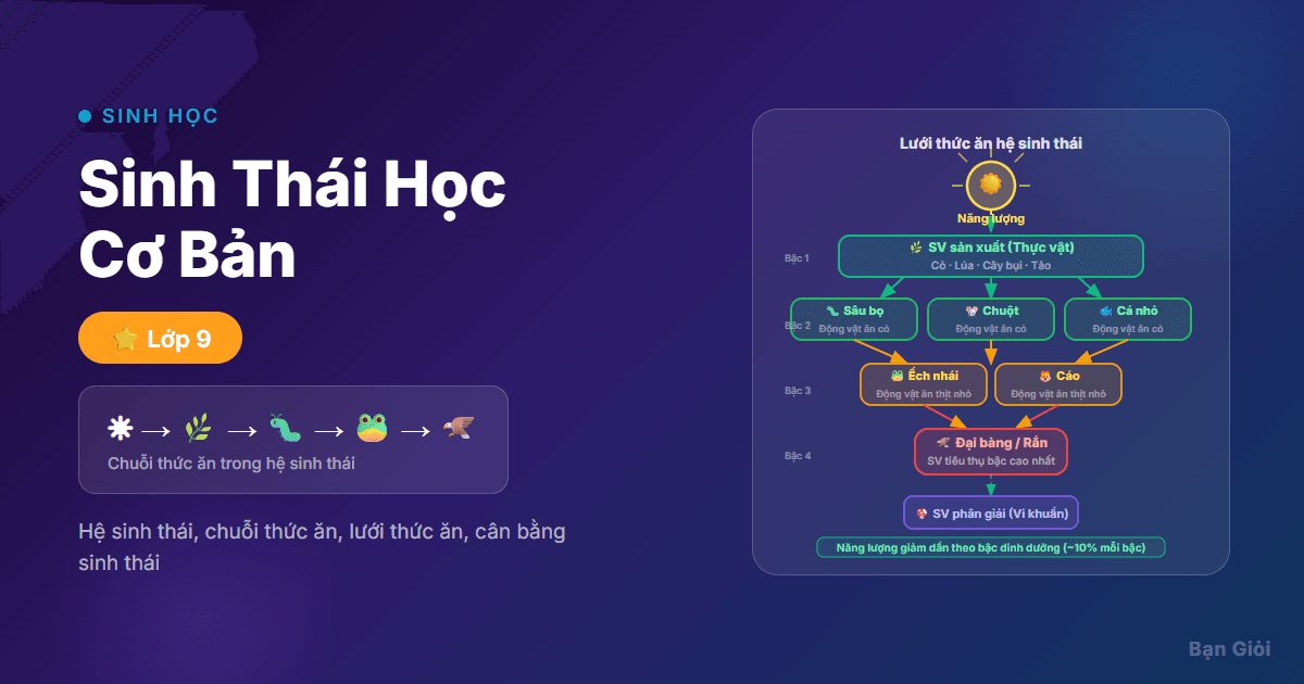 Sinh Thái Học Cơ Bản - Hướng dẫn từng bước hệ sinh thái, chuỗi thức ăn, lưới thức ăn, dòng năng lượng v