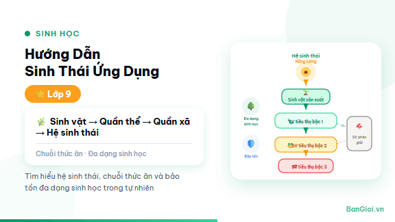 Sinh Thái Ứng Dụng - Hướng dẫn sinh thái ứng dụng: ô nhiễm môi trường, bảo tồn đa dạng sinh học, phát