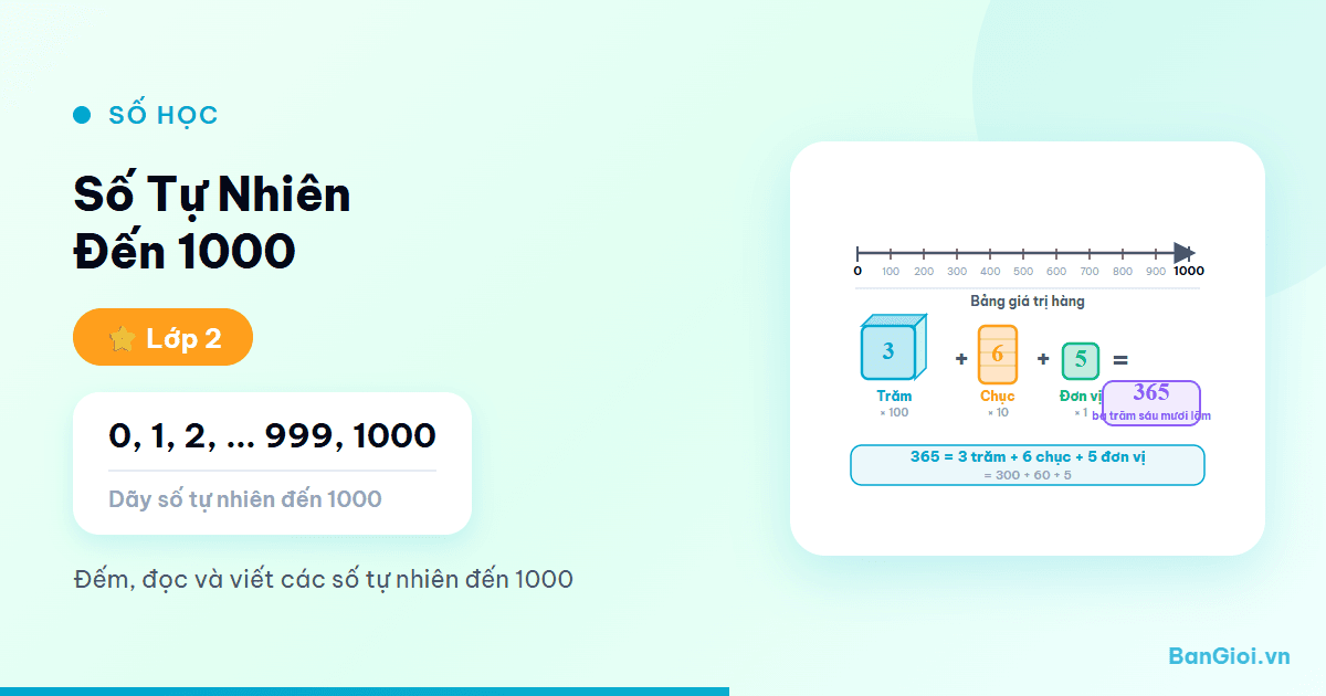 Số Tự Nhiên Đến 1000 - Hướng dẫn từng bước đọc, viết, so sánh số tự nhiên đến 1000 cho học sinh lớp 2. 