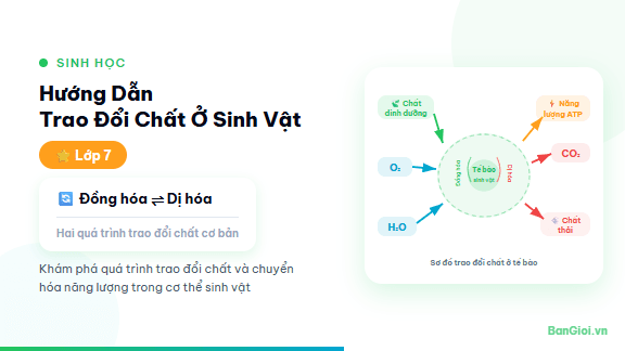 Trao Đổi Chất Ở Sinh Vật - Hướng dẫn trao đổi chất và chuyển hóa năng lượng ở sinh vật: đồng hóa, dị hóa, s