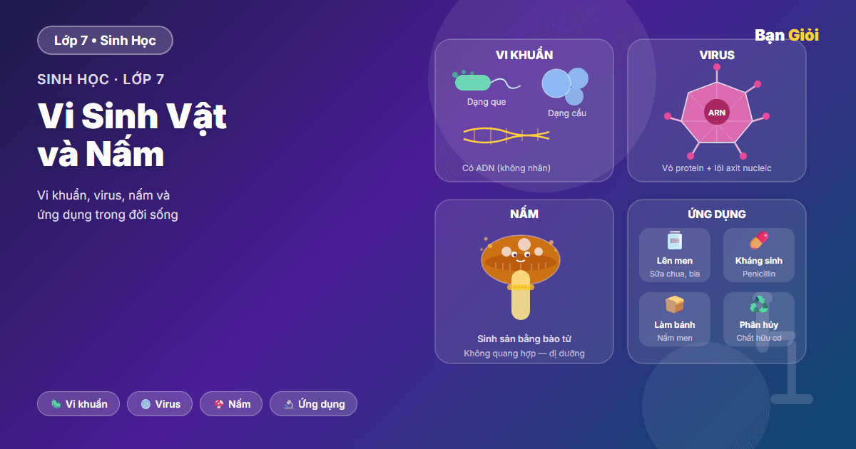 Vi Sinh Vật và Nấm - Hướng dẫn vi khuẩn, virus, nấm và ứng dụng vi sinh vật trong đời sống cho học si