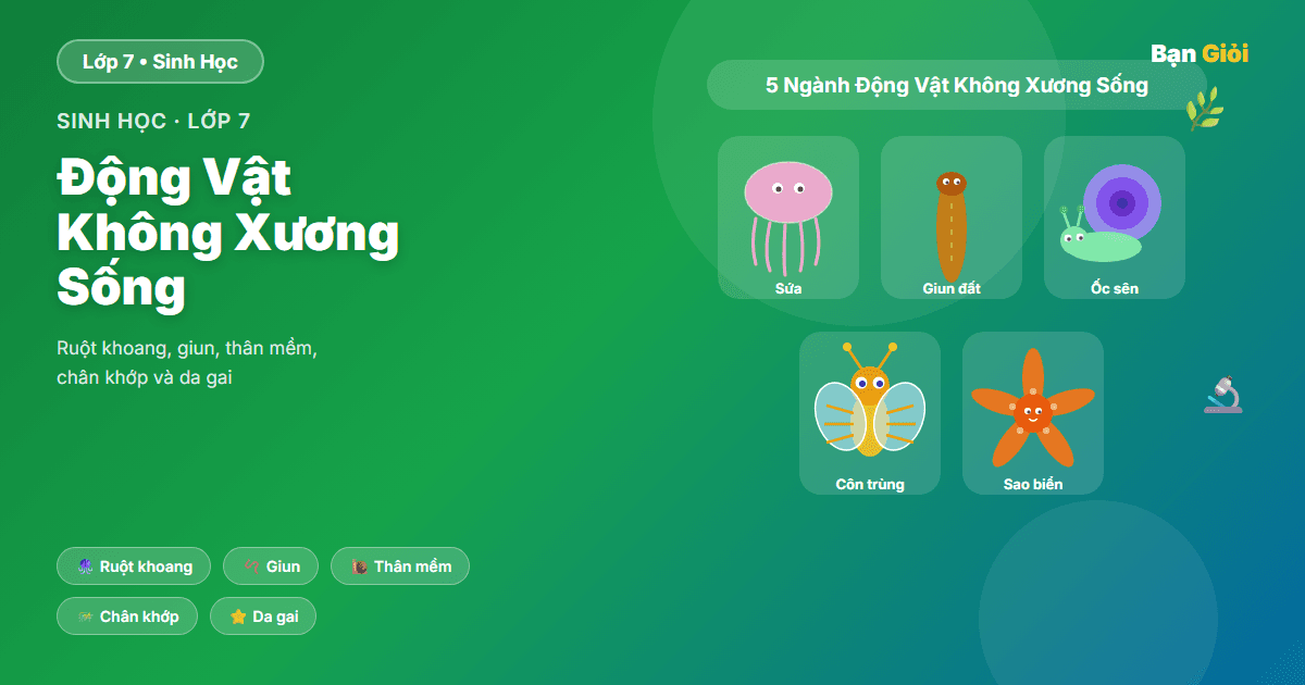 Động Vật Không Xương Sống - Hướng dẫn các ngành động vật không xương sống: ruột khoang, giun, thân mềm, chân