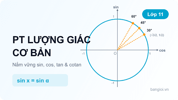 Phương Trình Lượng Giác Cơ Bản - Ứng dụng hướng dẫn toán học cho học sinh